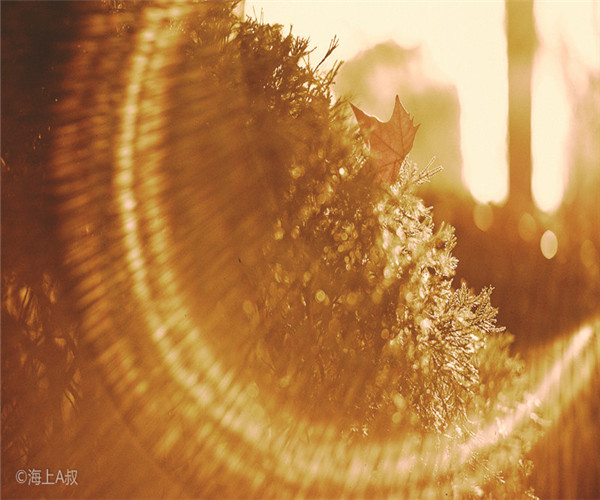 為什么大家喜歡在4月份裝修房子呢？