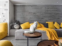 純干貨！家里有寵物的十個(gè)裝飾小建議